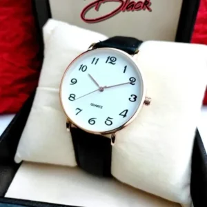 New Men's watch Model DW belt Watch Fine quality